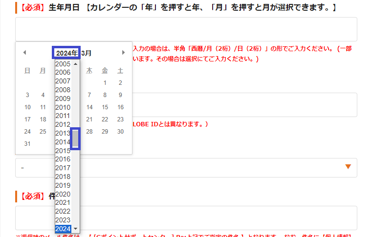 02_生年月日.png